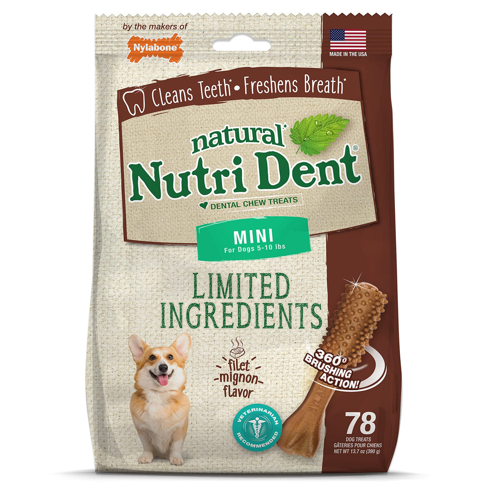 Nylabone Nutri Dent dental chews shown with the front of the pack.