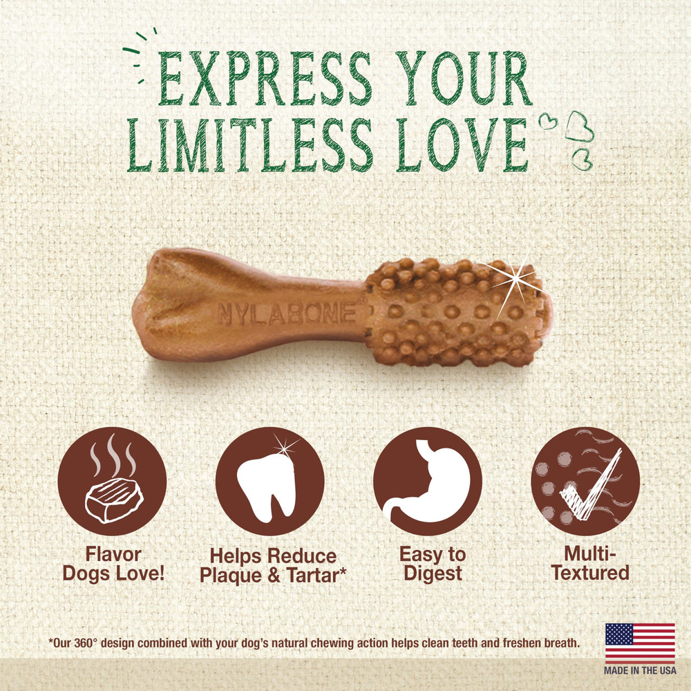 Nylabone Nutri Dent dental chews with the ingredient information visible on the label.