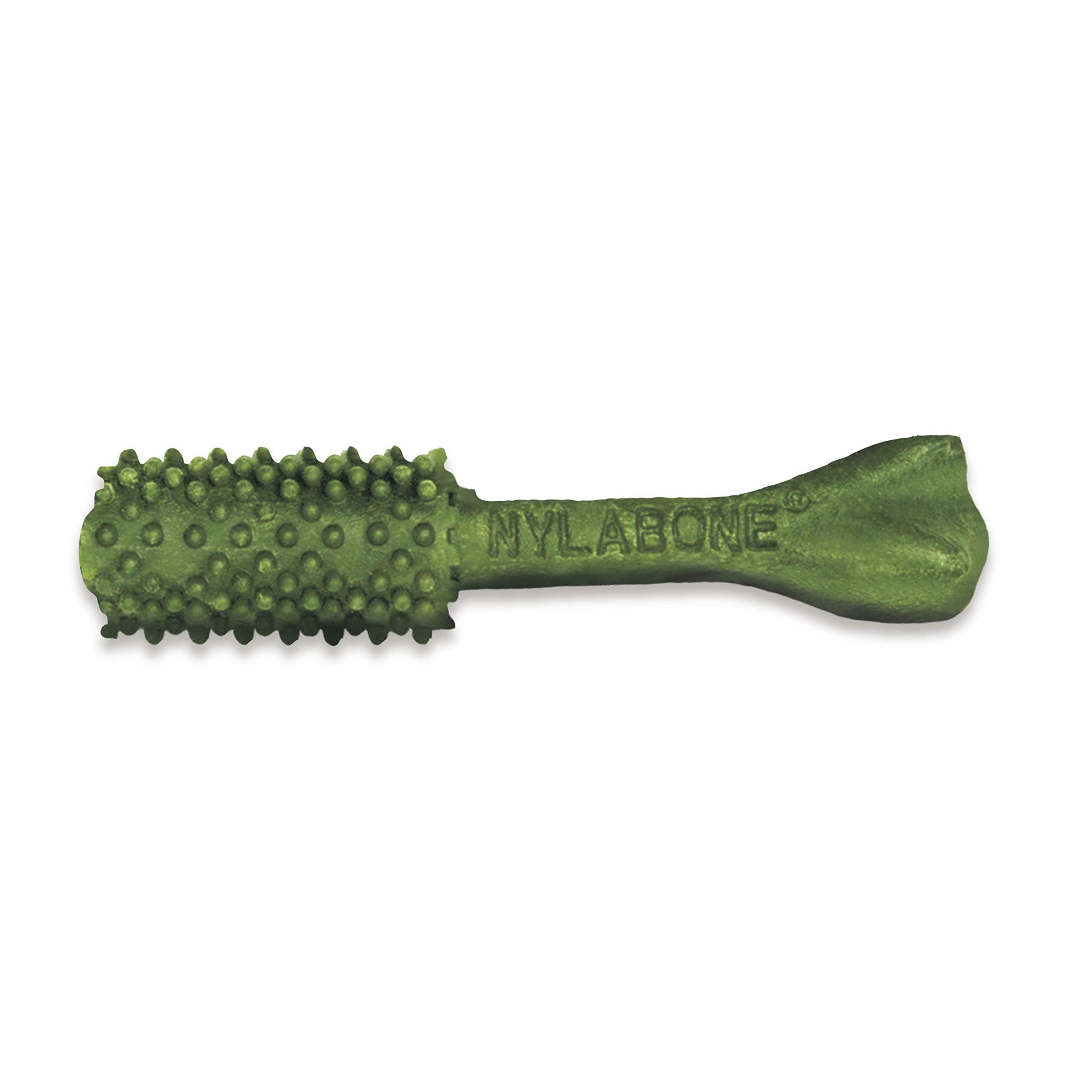 Nylabone Nutri Dent dental chew close-up showing its scrubbing nubs.