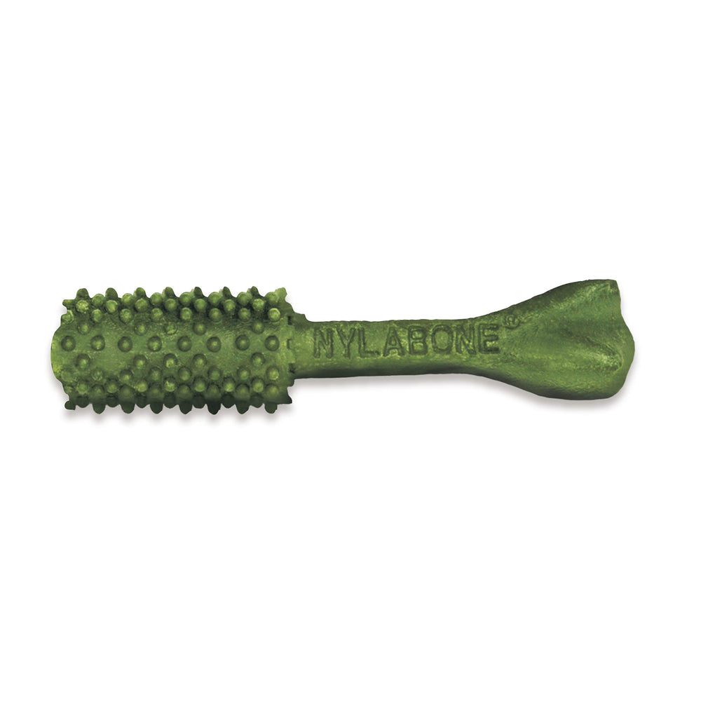 Nylabone Nutri Dent dental chew close-up showing its scrubbing nubs.