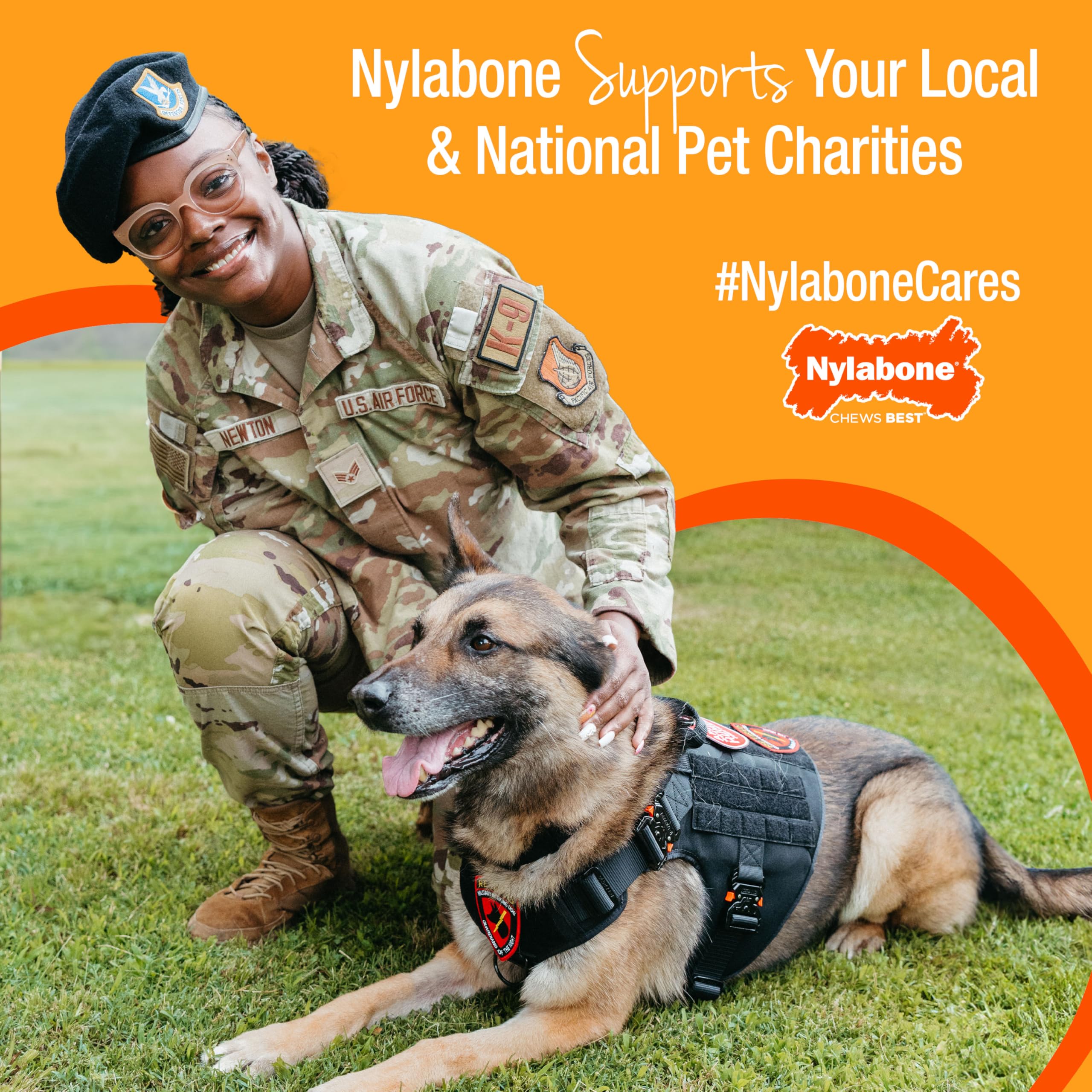Nylabone Pop-In Treat-Toy Refill Chews shown as a 90-count pack.