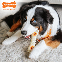 Close-up view of the Nylabone Pop-In Treat-Toy Refill Chews.