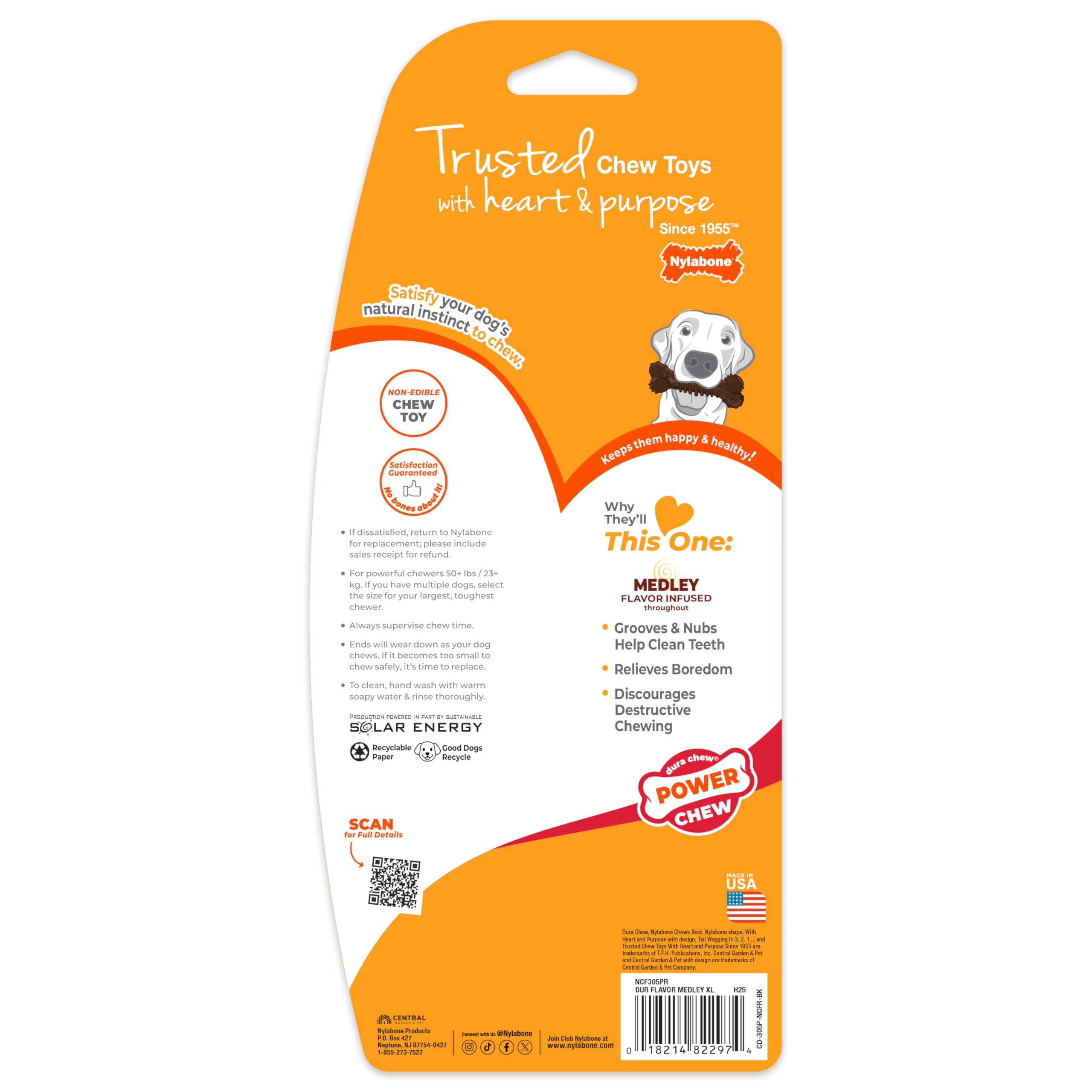 Nylabone Power Chew Dental Groove Bone highlighting its dental chew design.