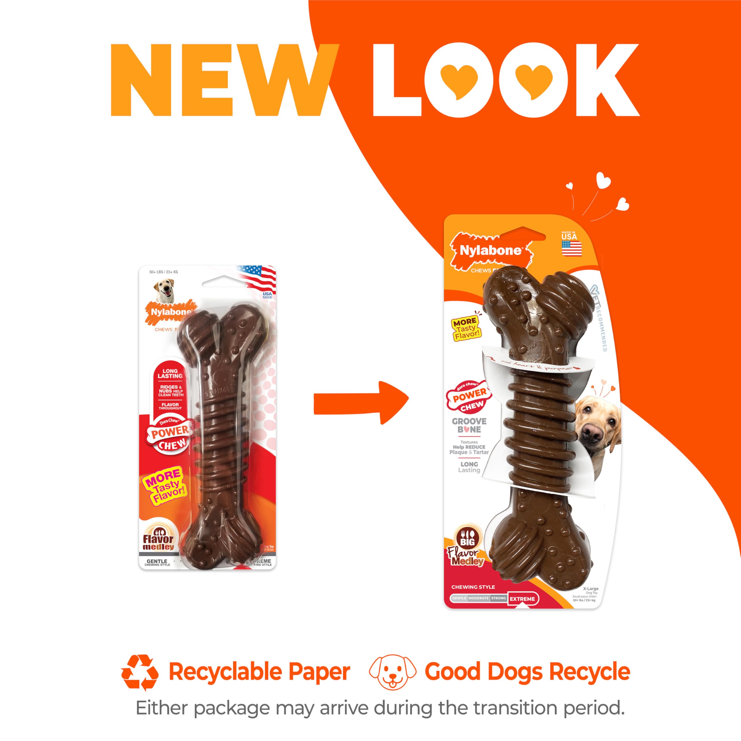 Nylabone Power Chew Dental Groove Bone shown in a full product view.