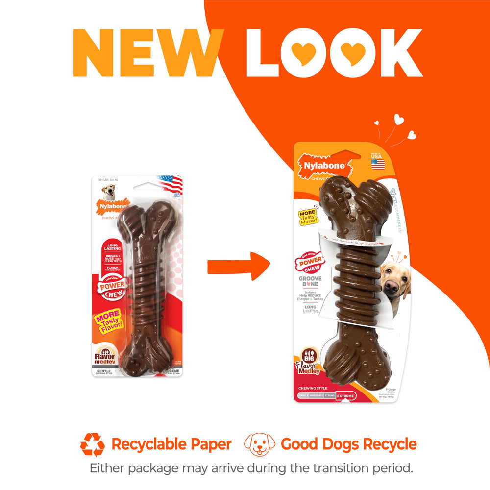 Nylabone Power Chew Dental Groove Bone shown in a full product view.