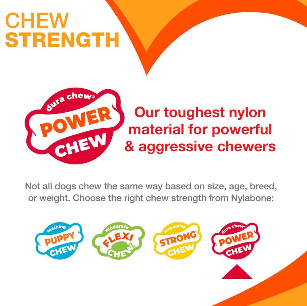 Nylabone Strong Chew Cute Dog Toy Bundle pretzel chew toy shaped for holding.