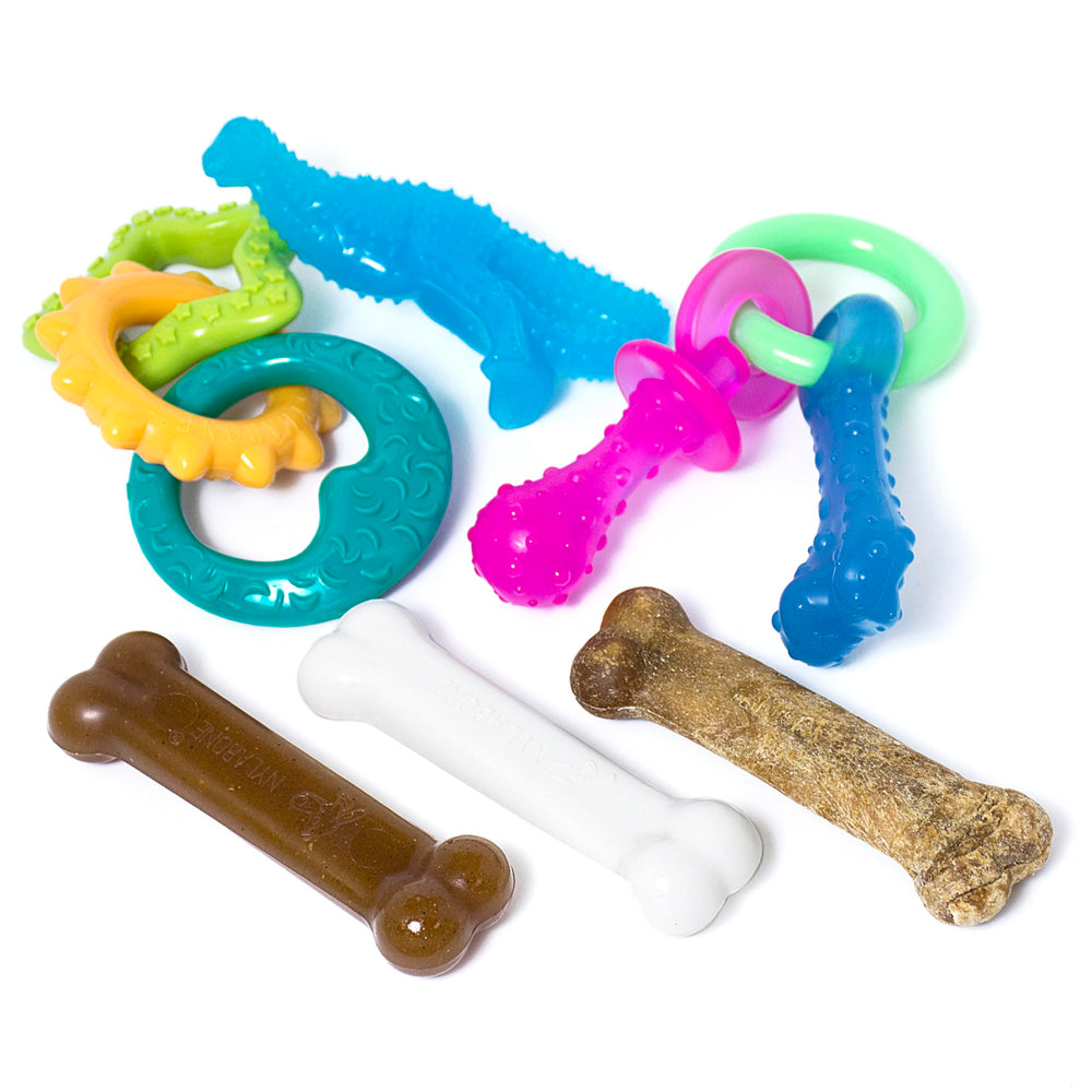 Nylabone Puppy Chew Toy & Treat Bundle package shown from the front.