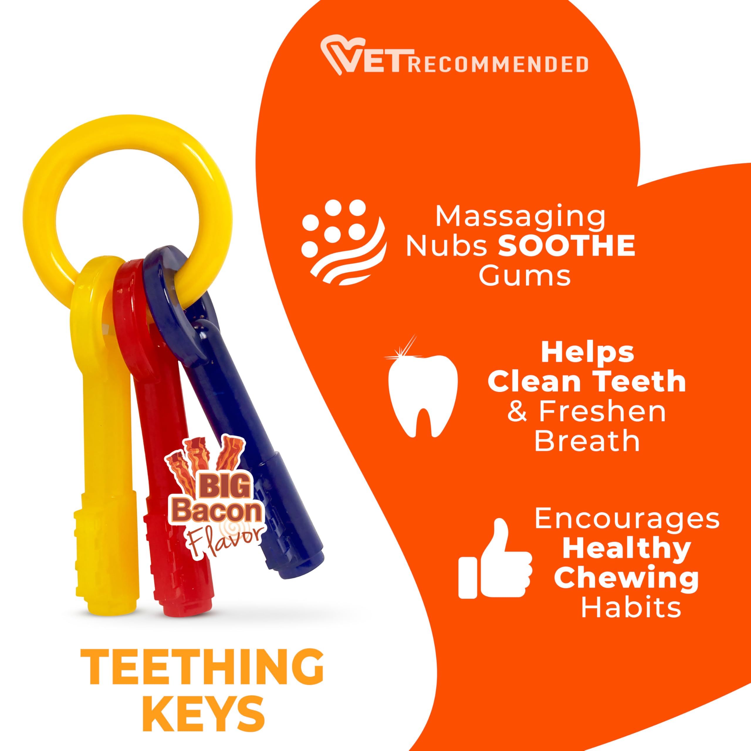 Nylabone Puppy Chew Teething Keys displaying their colorful design.