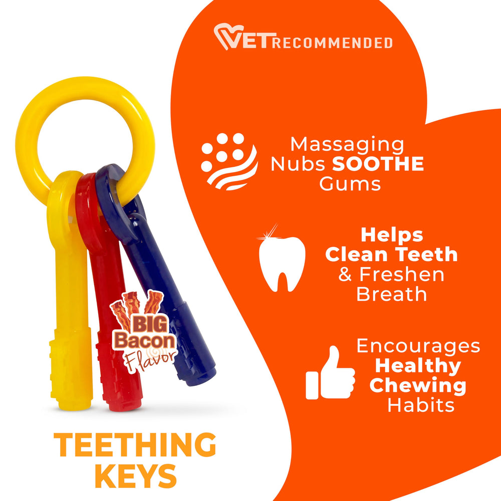 Nylabone Puppy Chew Teething Keys displaying their colorful design.