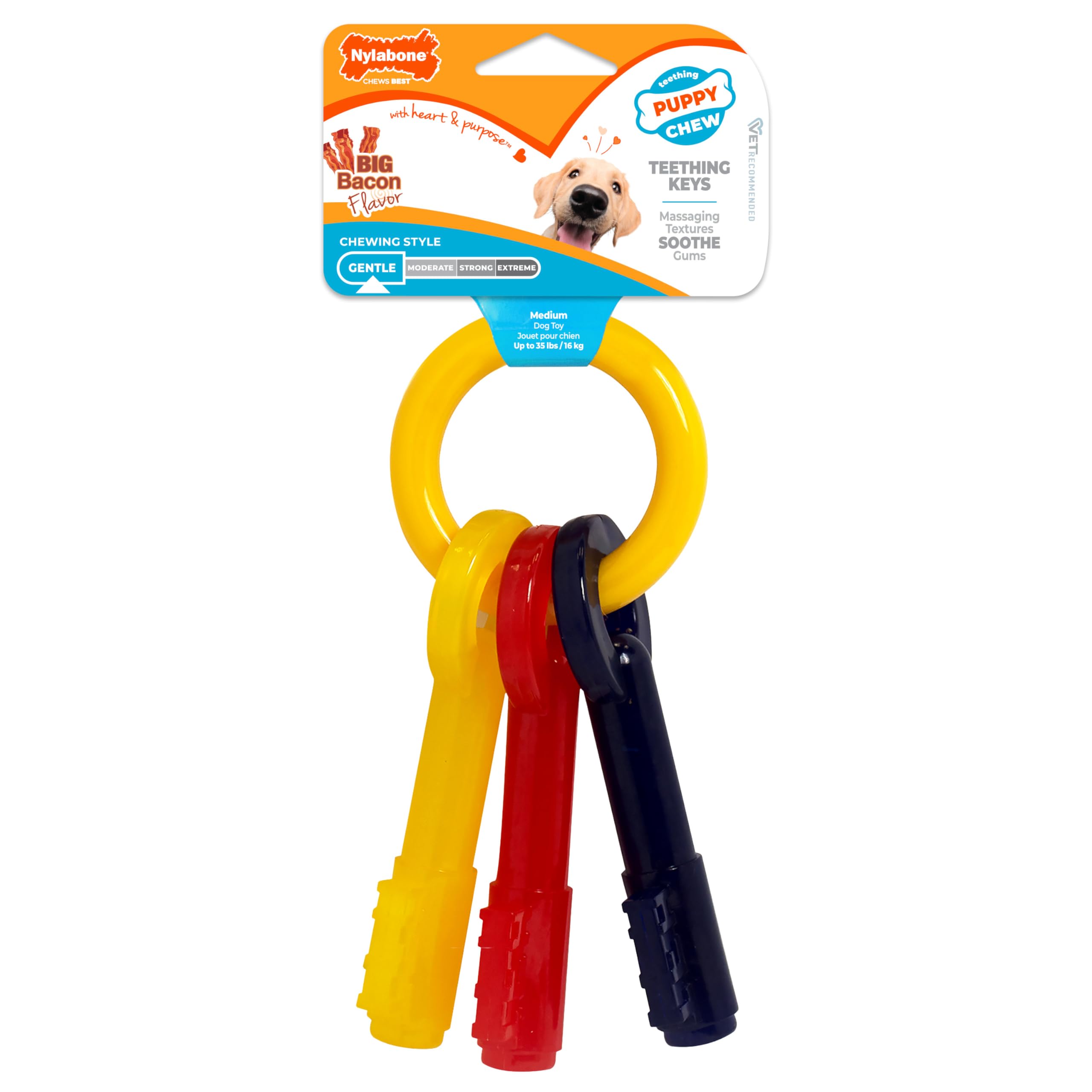 Nylabone Puppy Chew Teething Keys shown in a full view.
