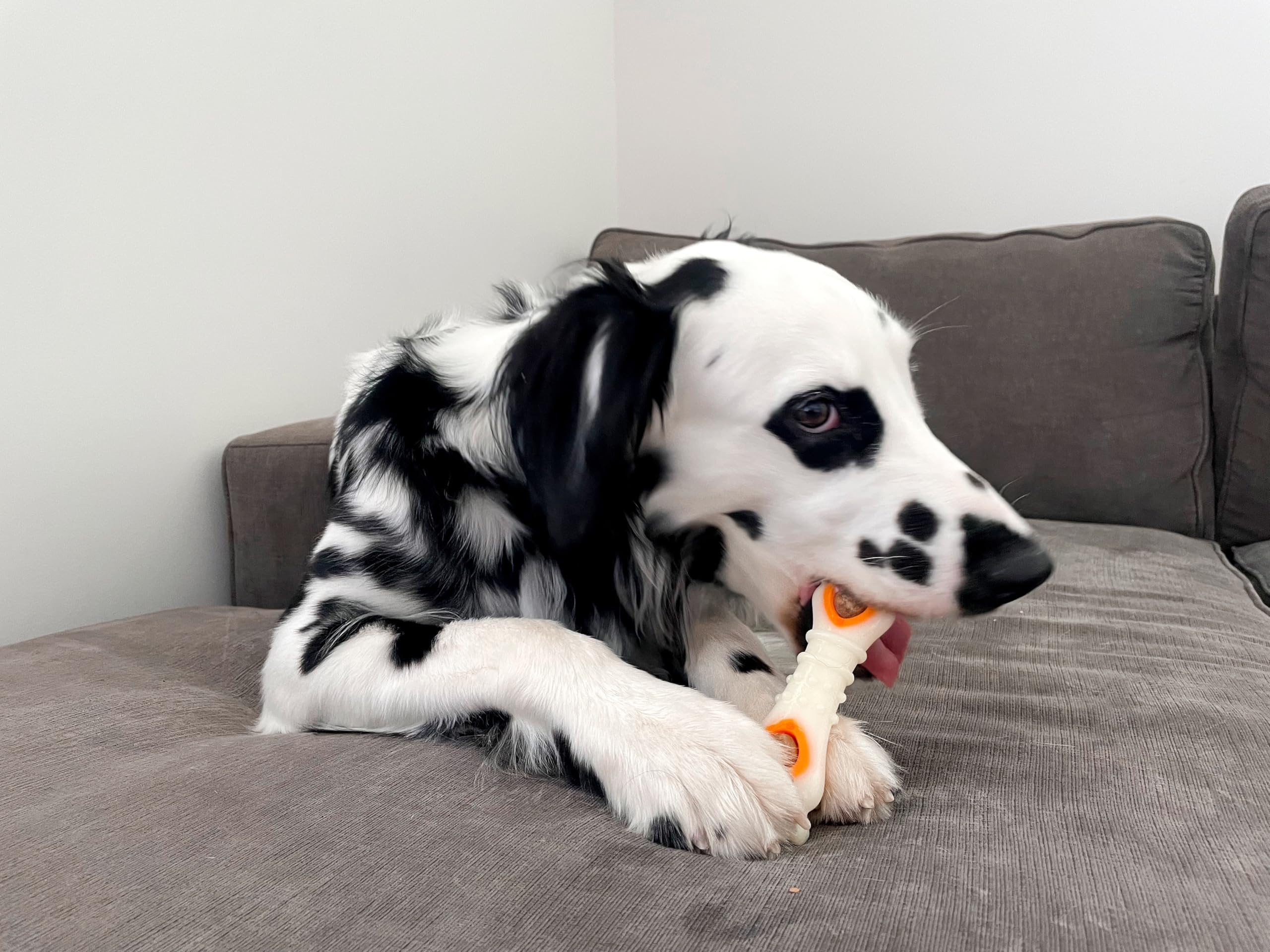 Nylabone Pop-In Treat-Toy Refill Chews for small dogs.