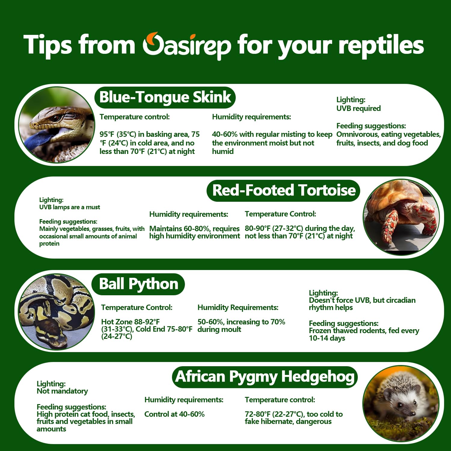 Oasirep reptile thermometer and hygrometer shown from the back.