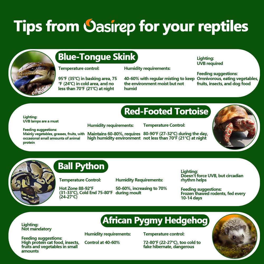 Oasirep reptile thermometer and hygrometer shown from the back.