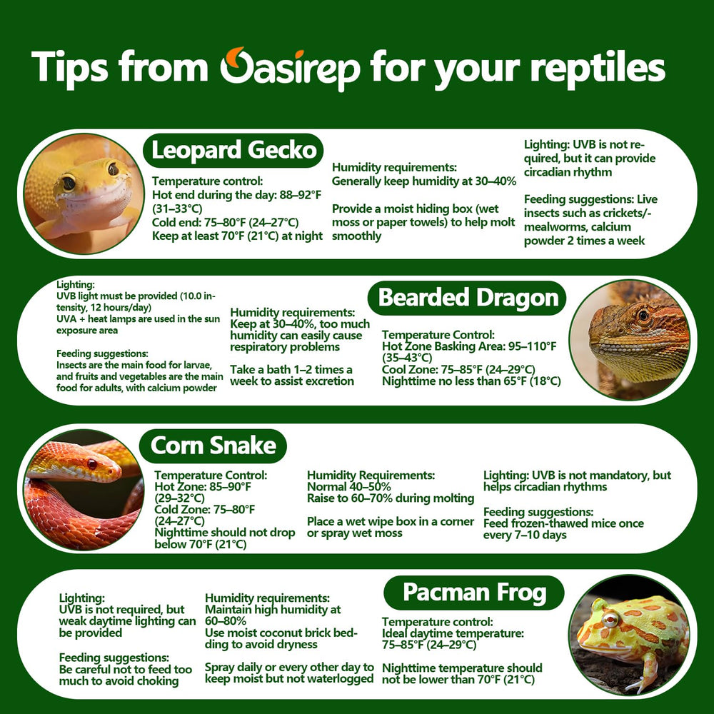Oasirep reptile thermometer and hygrometer monitors shown for two habitats.
