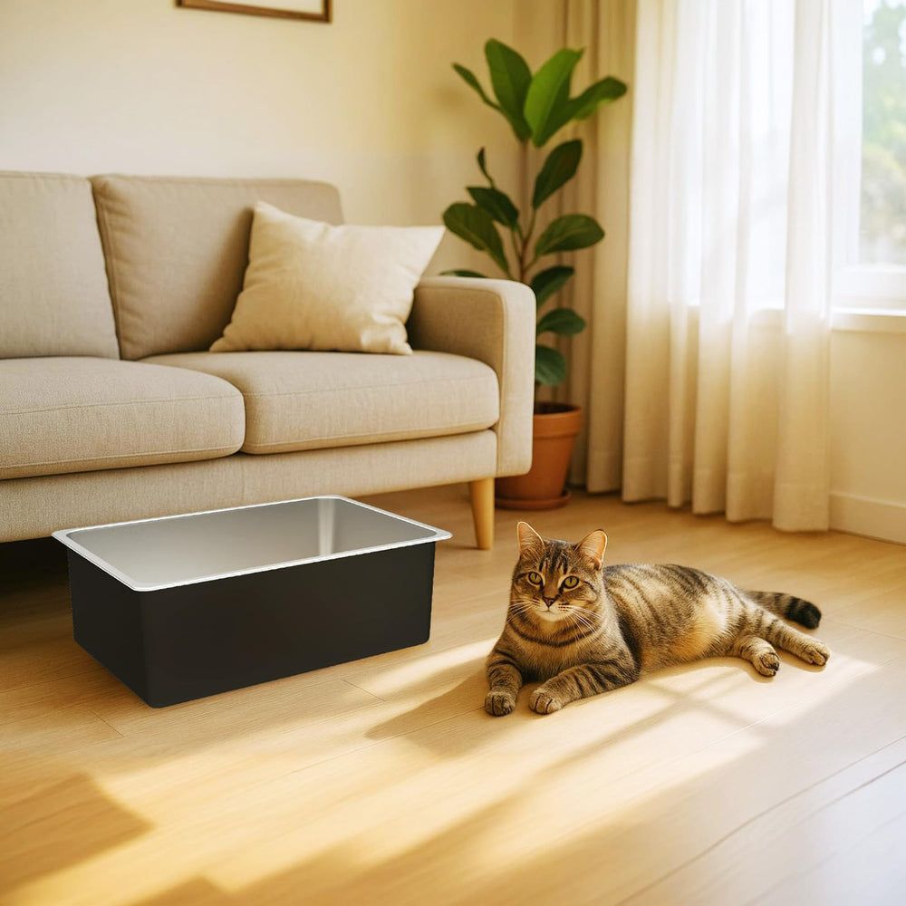 Ohtomber cat litter box shown in use with its open-top design.