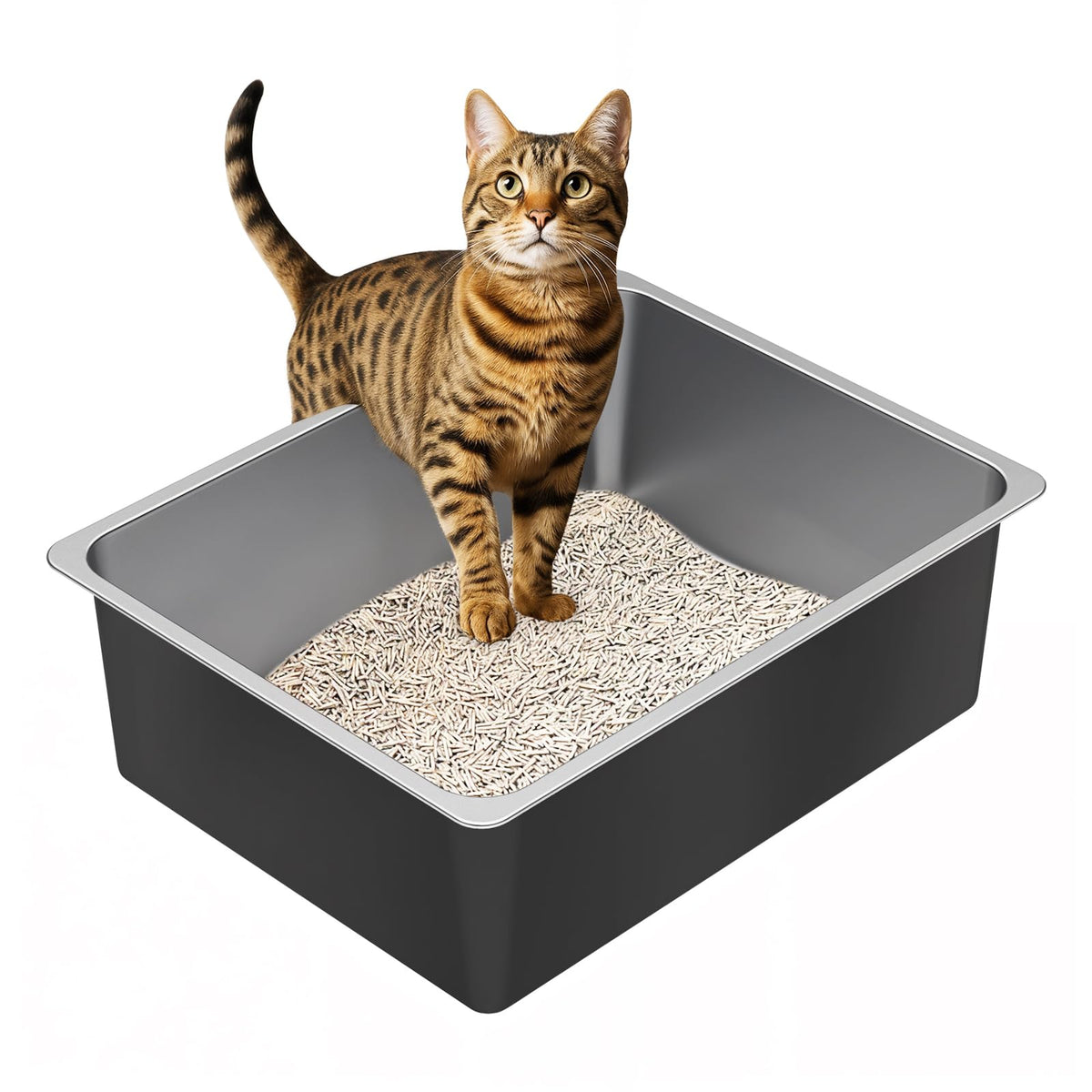 Ohtomber stainless steel cat litter box shown from the front.