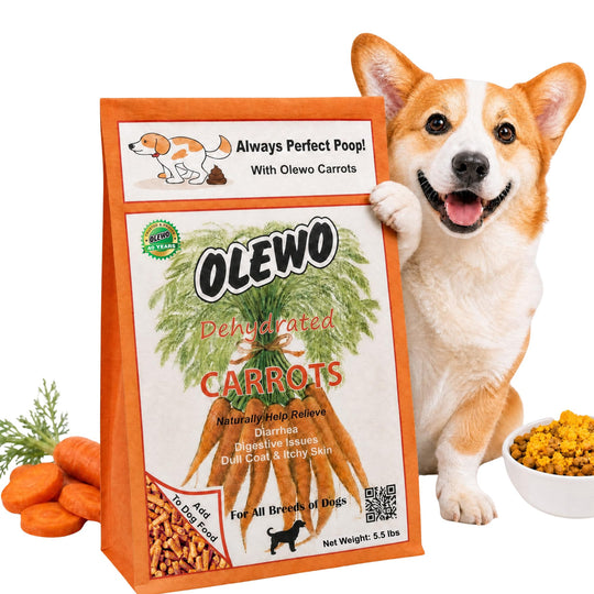 Olewo Carrots Dog Food Topper shown in its front-facing package view.