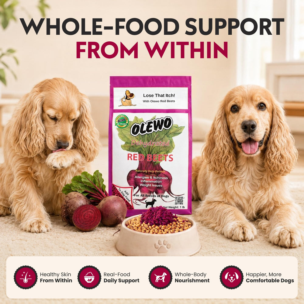 Olewo Red Beets dog food topper ingredient focus featuring red beets.