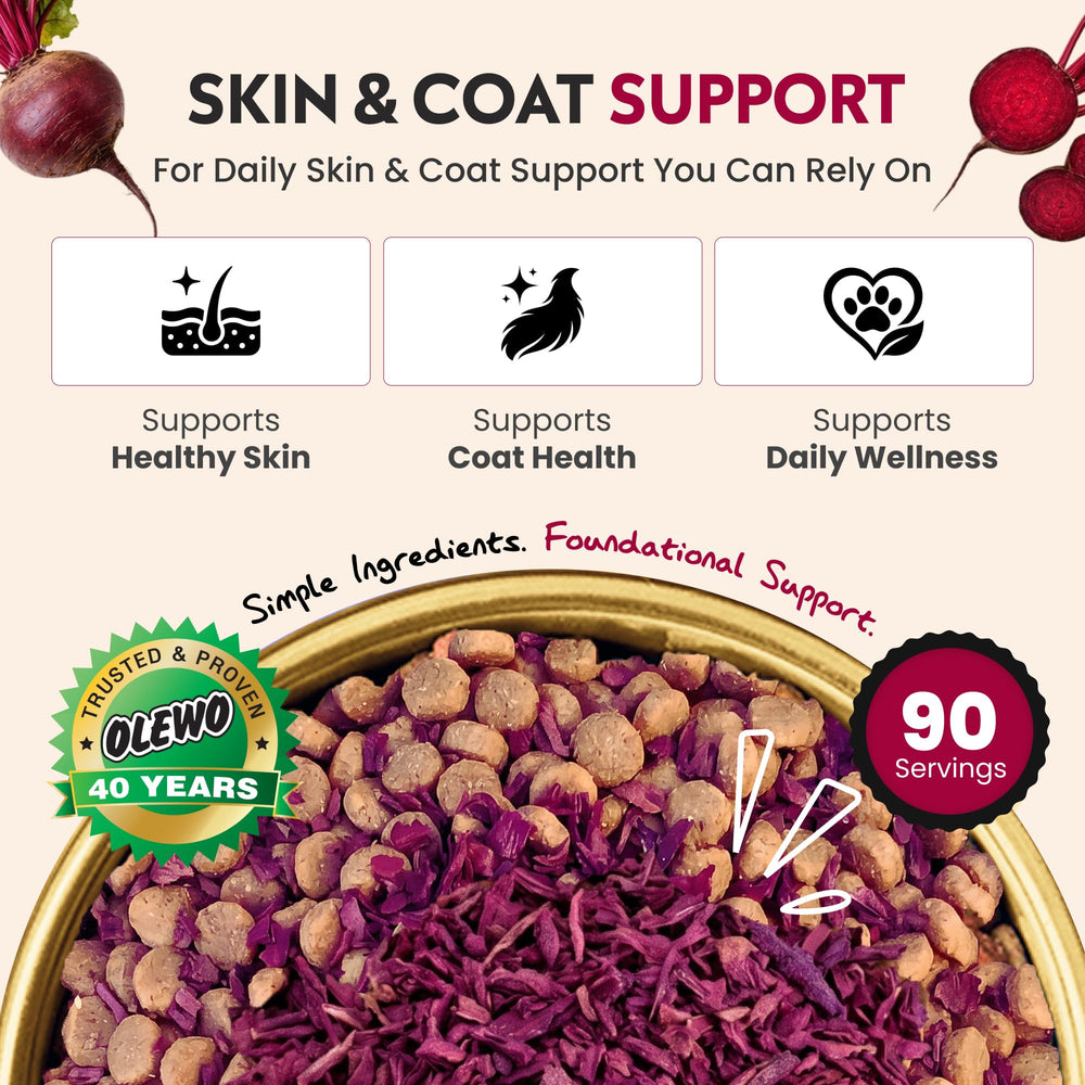 Olewo Red Beets dog food topper mixed into a dog’s regular food.