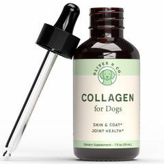 Oliver & Co. dog collagen tincture shown from the front.