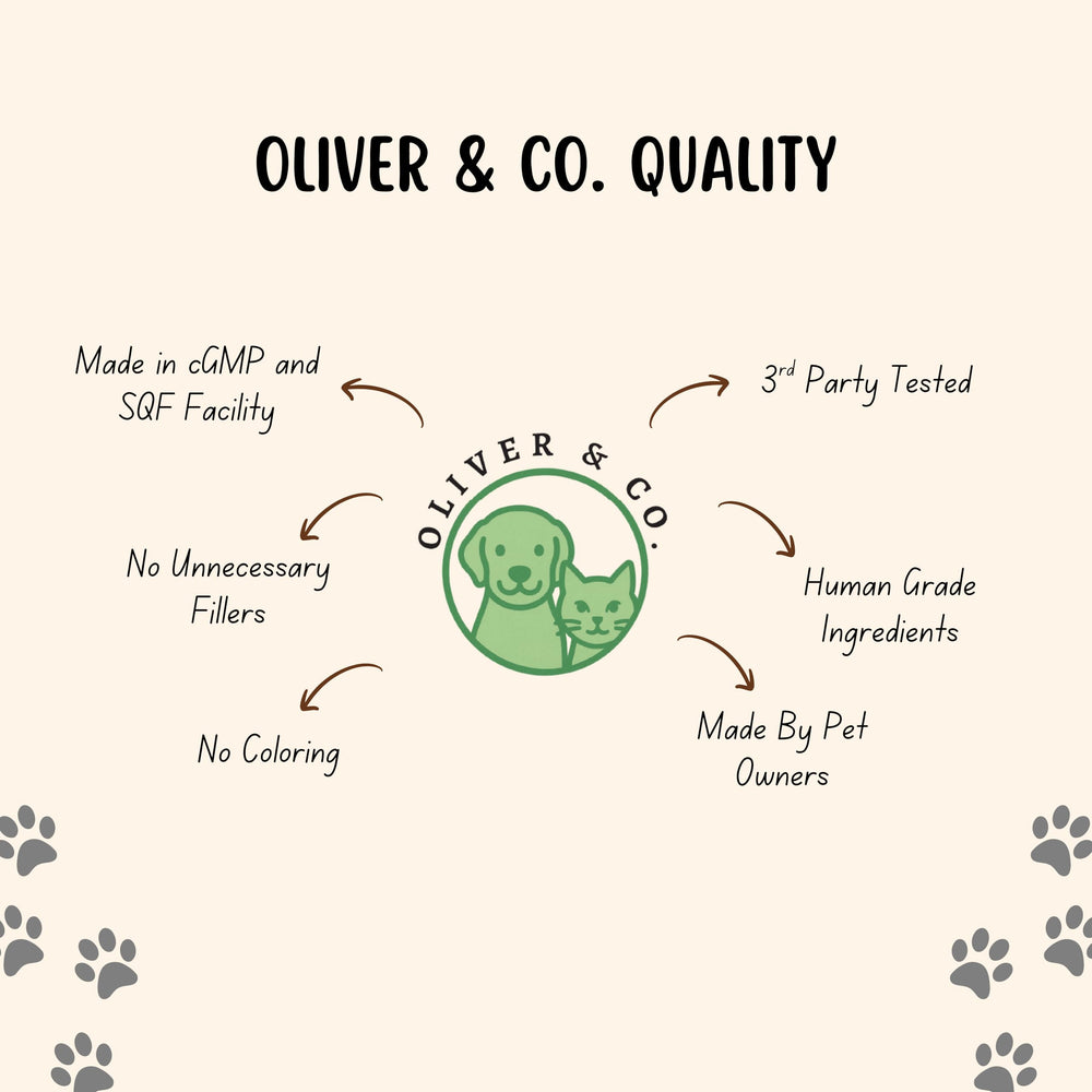 Oliver & Co. dog collagen supplement shown in a use setting.