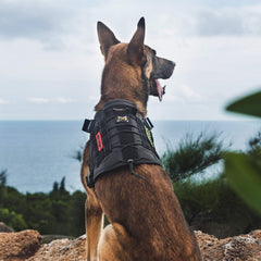 ONETIGRIS tactical dog harness side view showing the MOLLE straps.