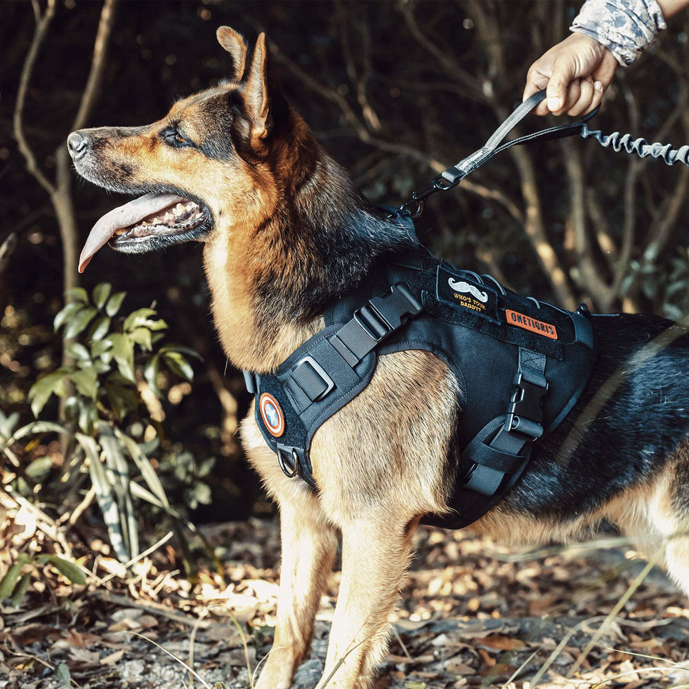 ONETIGRIS tactical dog harness shown fitted on a dog.