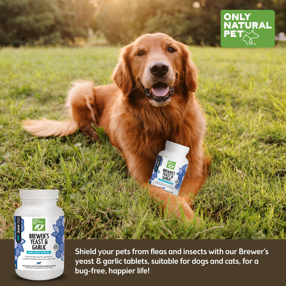 A dog being offered an Only Natural Pet Brewer's Yeast & Garlic Chewable tablet.