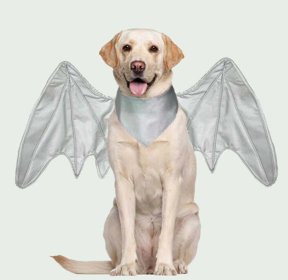 Onmygogo bat dragon dog costume showing the Hook & Loop closure.