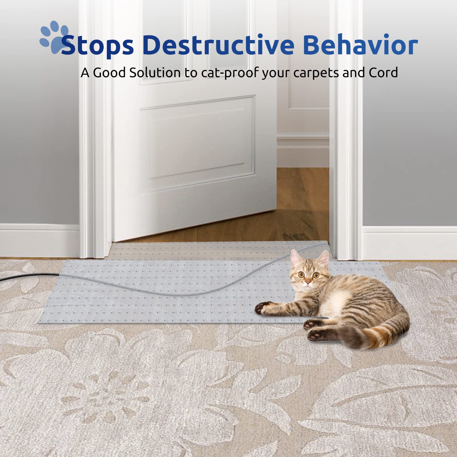 Oroonoko Carpet Protector placed across a carpeted doorway.