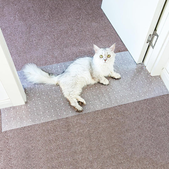 Oroonoko Carpet Protector shown from the front with its clear PVC surface visible.