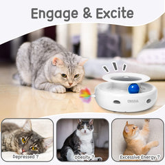 ORSDA interactive cat toy shown during indoor cat play.