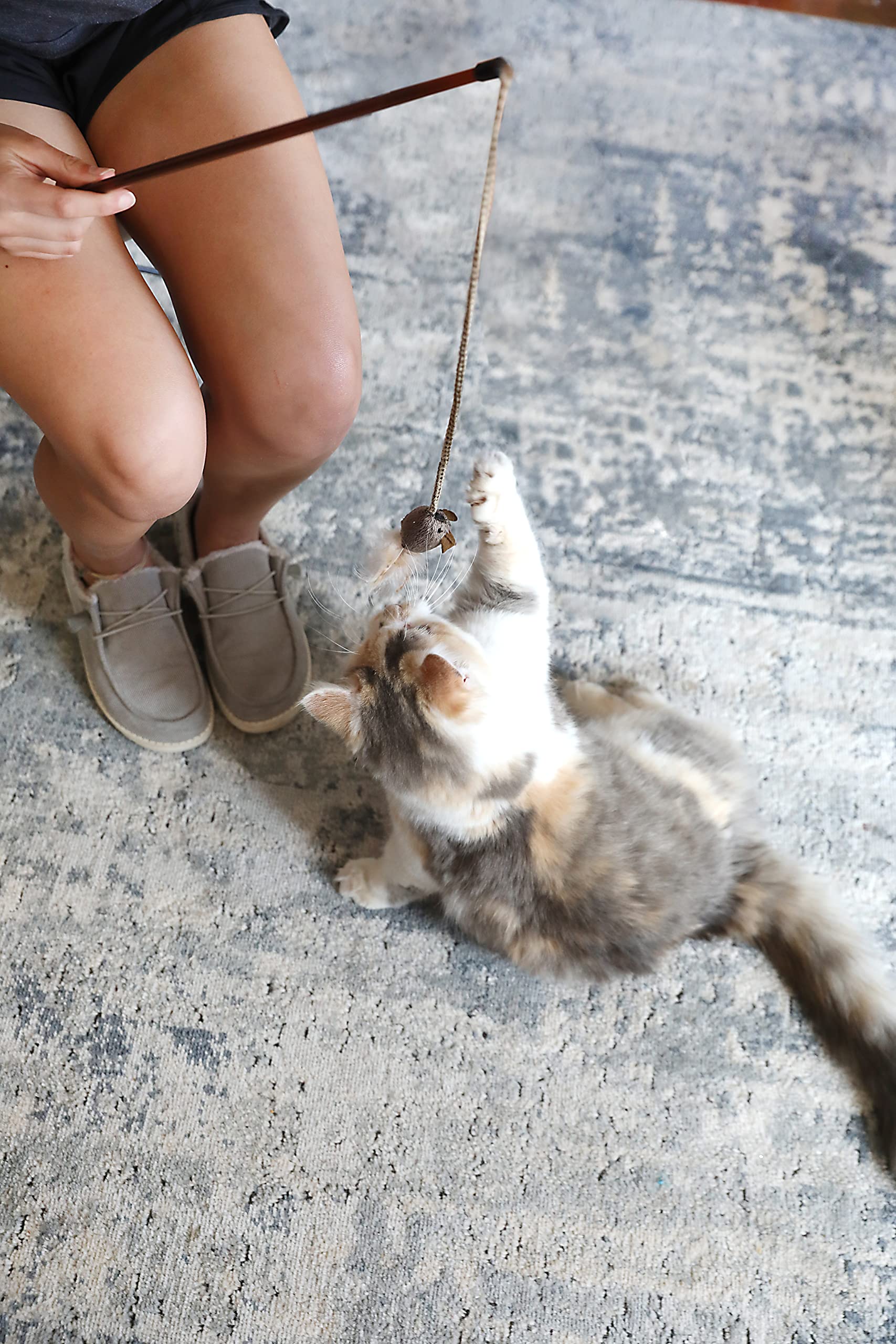 Our Pets Play-N-Squeak Teathered & Feathered cat toy highlighting its sound feature.