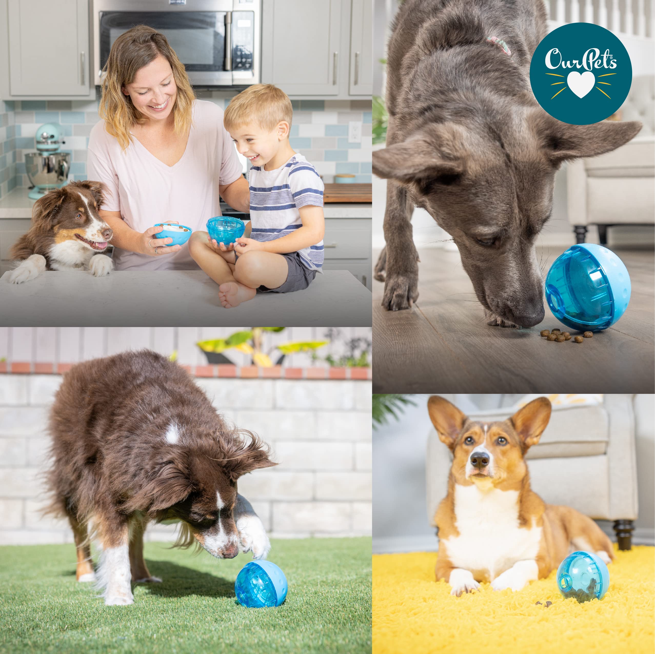 Our Pets IQ Treat Ball shown in a color that may vary.