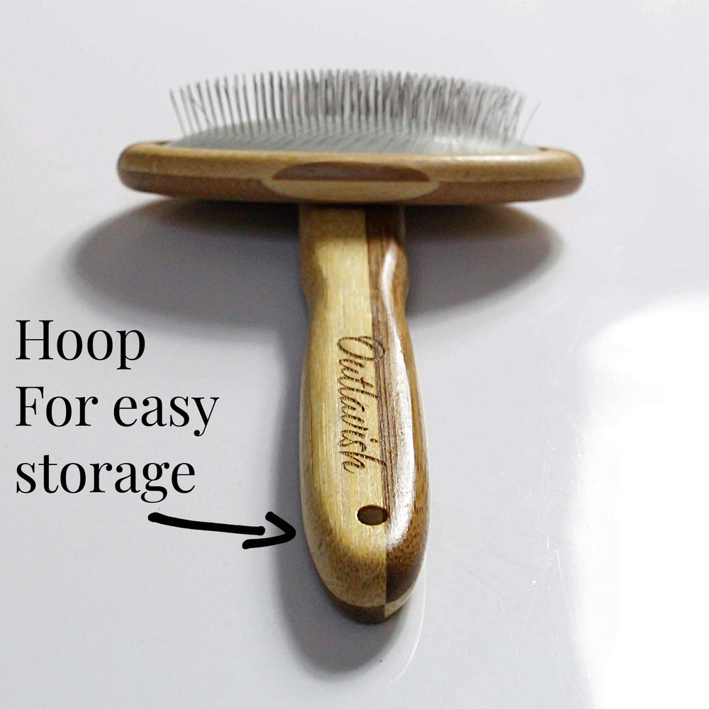 Outlavish wire carding brush smoothing a fluffy cat's coat.
