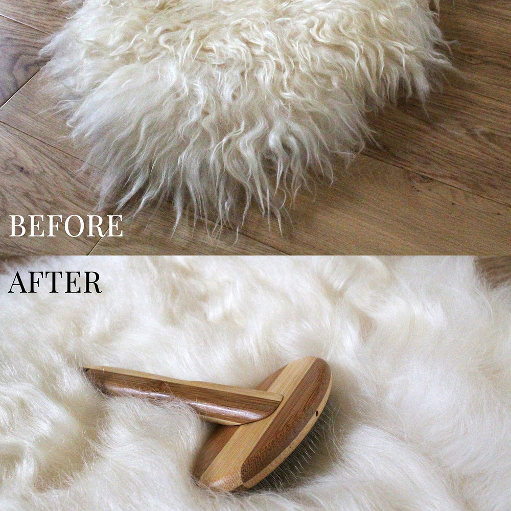 Outlavish wire carding brush smoothing a fluffy dog's coat.
