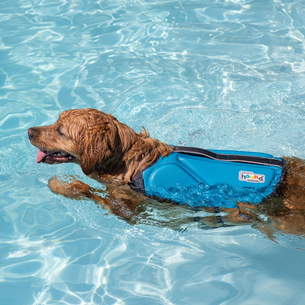 Outward Hound Dawson Dog Life Jacket showing the front float support.