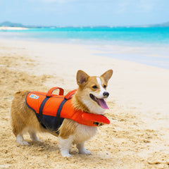 Outward Hound Granby Splash dog life jacket shown from the back.