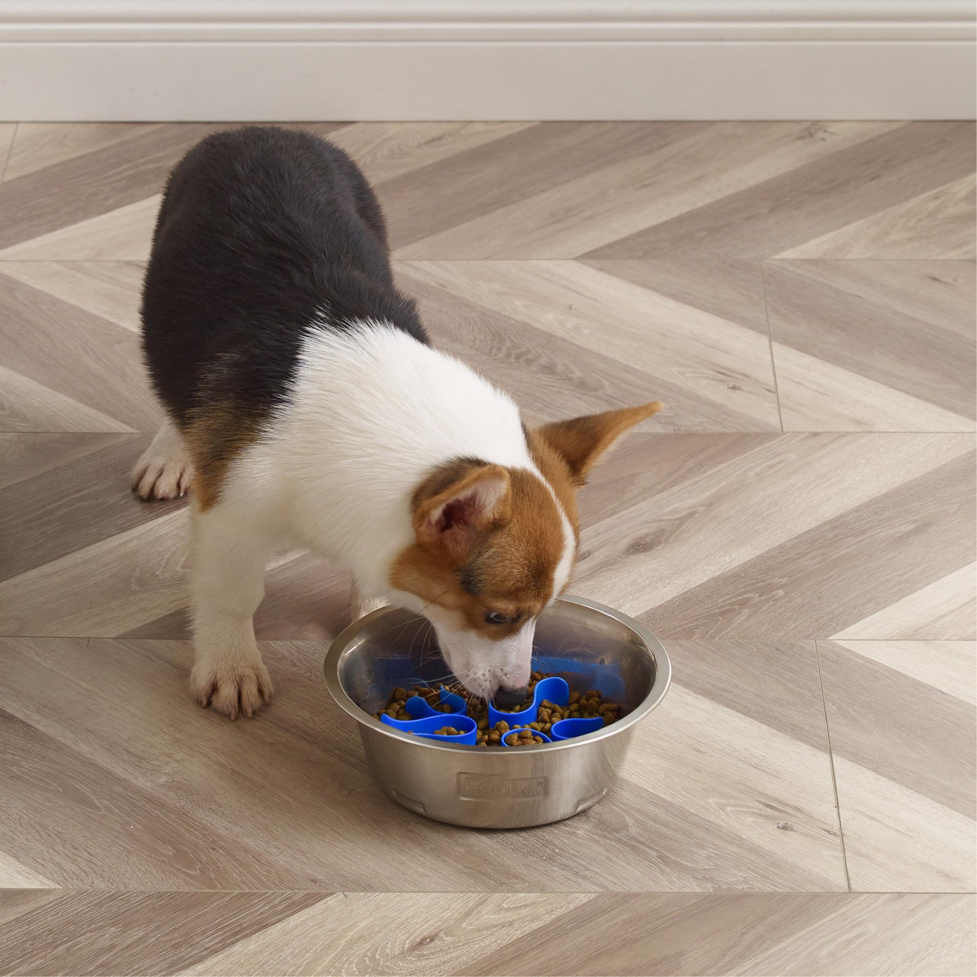 Outward Hound Fun Feeder Slo Bowl positioned in a raised feeding platform.