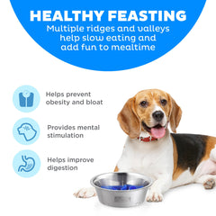 Outward Hound Fun Feeder Slo Bowl with its removable maze insert.