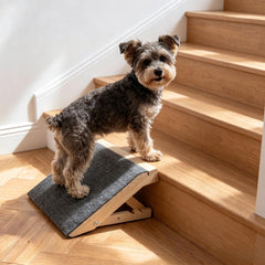 ownkid wooden dog ramp shown from the front.