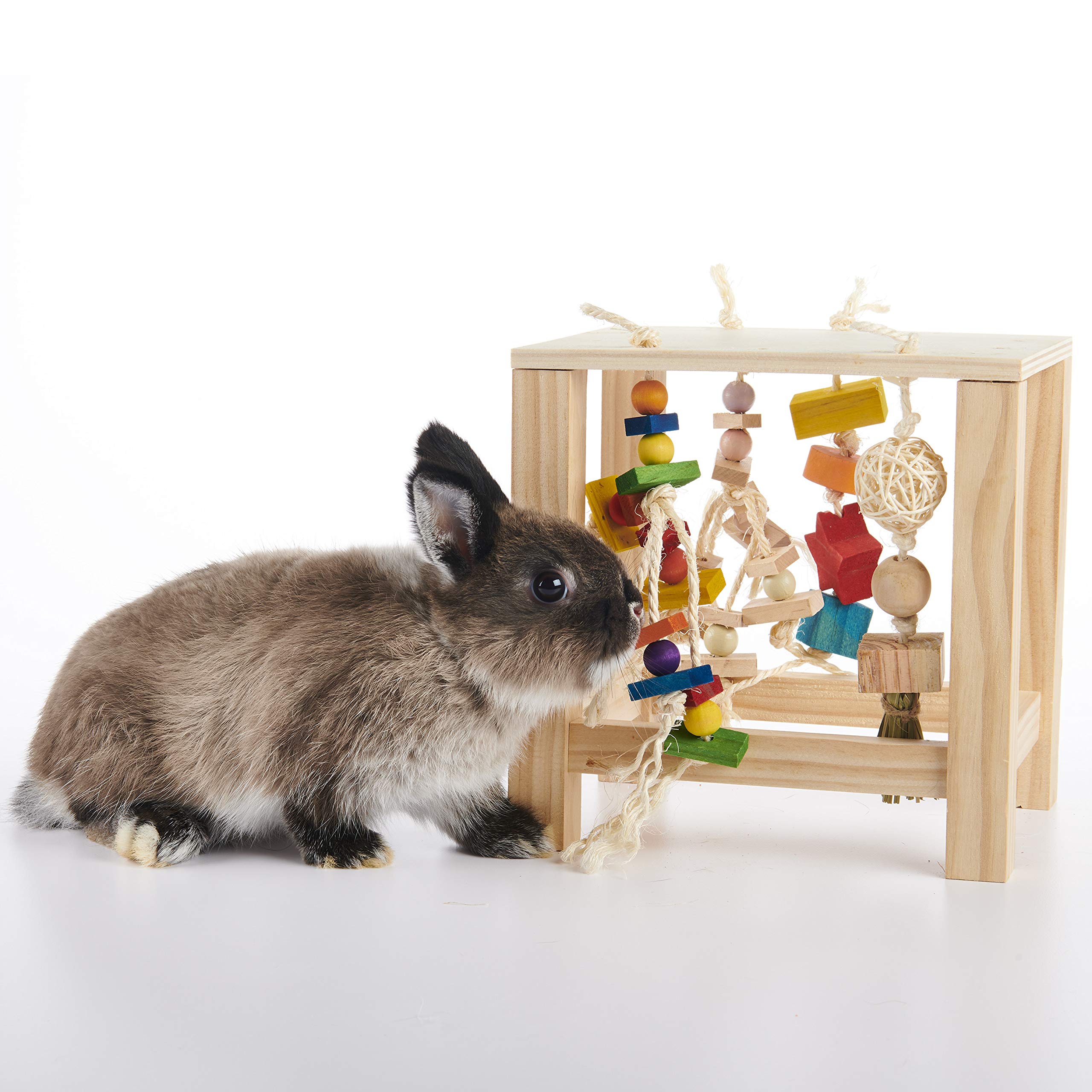 Oxbow Play Table placed in a guinea pig habitat for enrichment.
