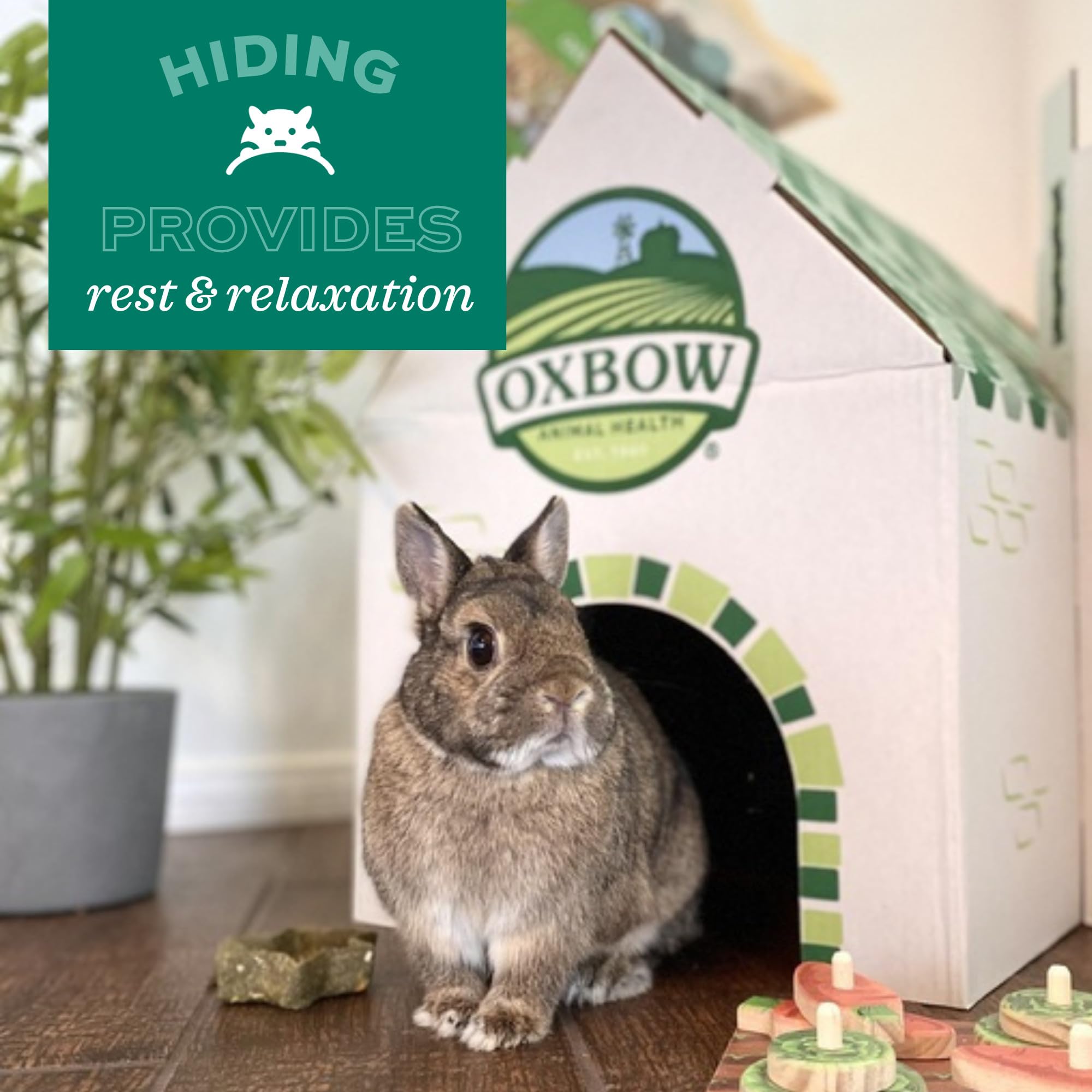 Oxbow Timothy Hay Bungalow pictured with a rabbit using the edible hideout.
