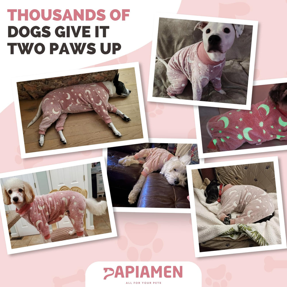 PAPIAMEN Dog Pajamas shown as a recovery layer covering the abdomen.
