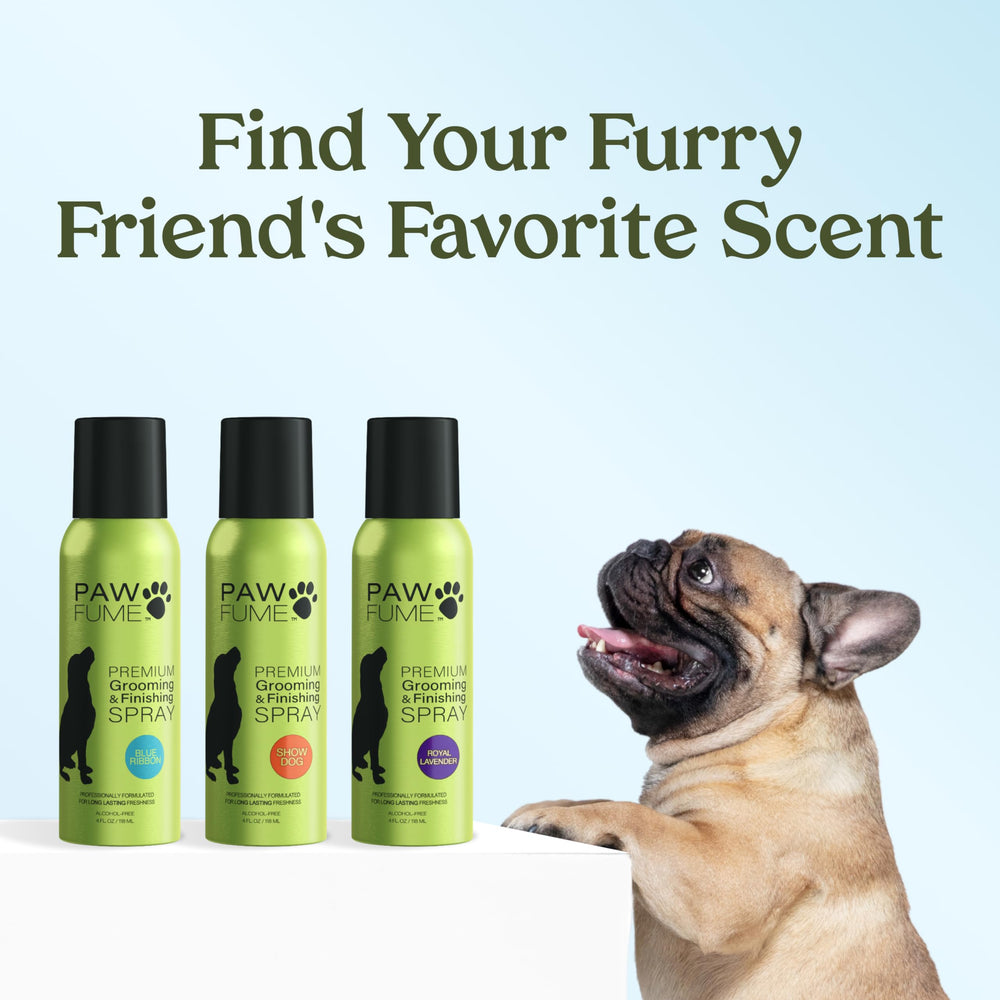 Paw Fume Blue Ribbon Dog Perfume Spray refreshing a short coat.