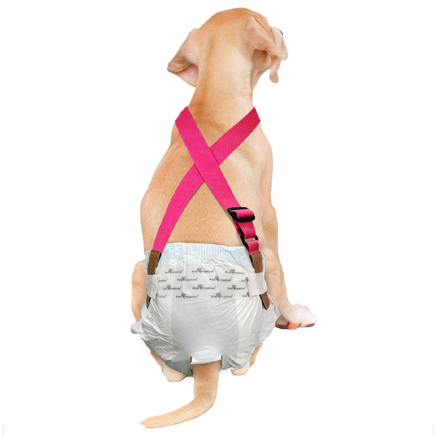 Paw Inspired Dog Diaper Suspenders shown from the front in pink, Small/Medium.