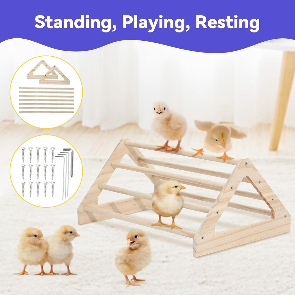 Pawaboo Chick Brooder Box kit feeder showing the individual feeding holes.