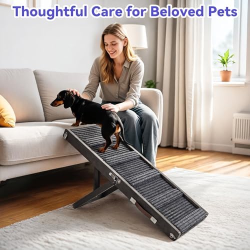 Pawaboo small dog ramp positioned to help a dog reach a couch.