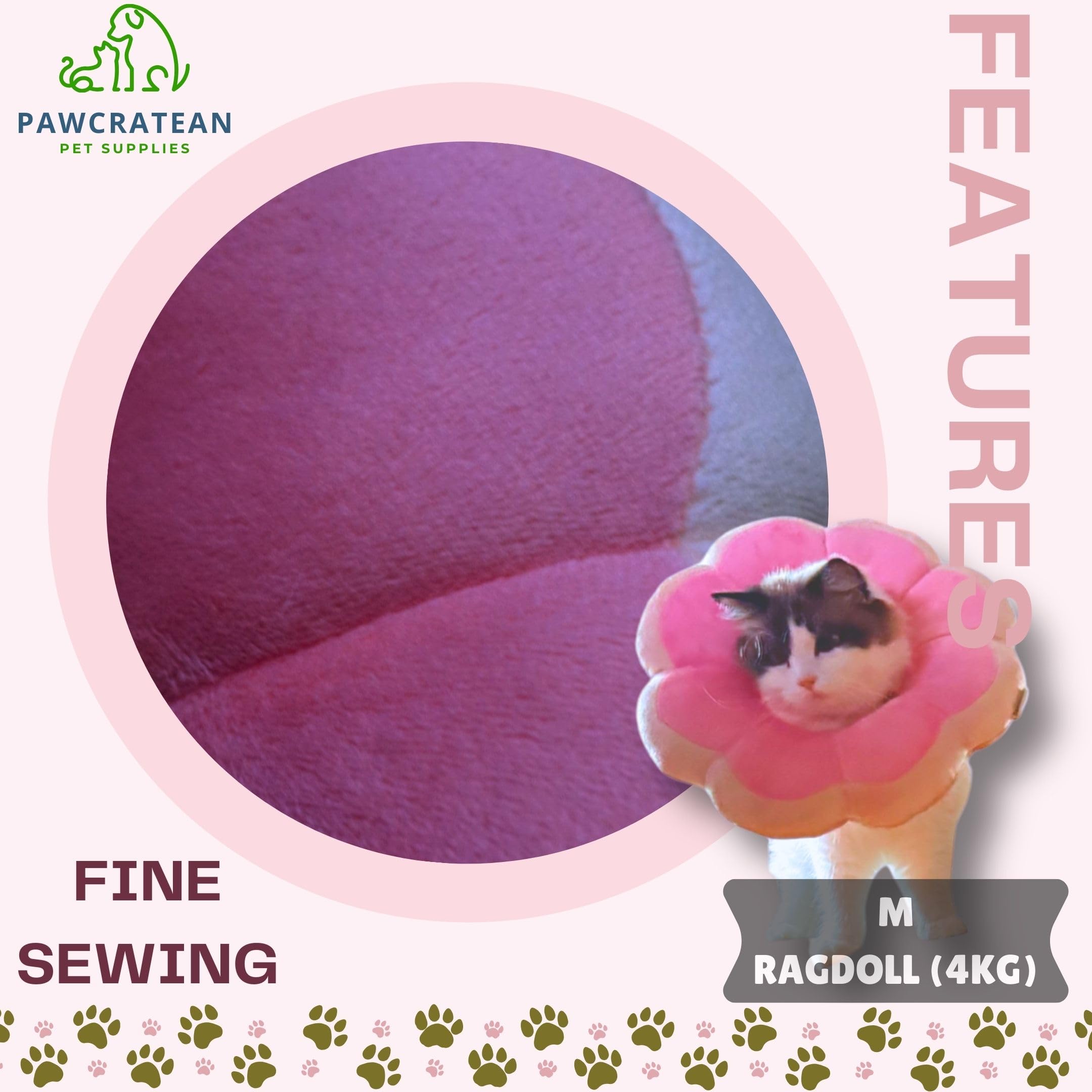 Pawcratean flower recovery collar worn by a cat.