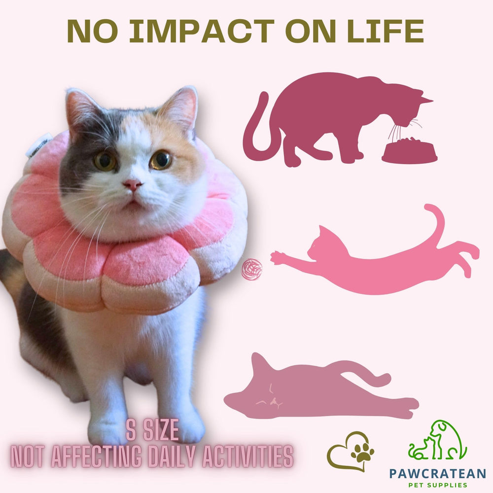 Pawcratean recovery collar shown as a neck pillow while a pet rests.